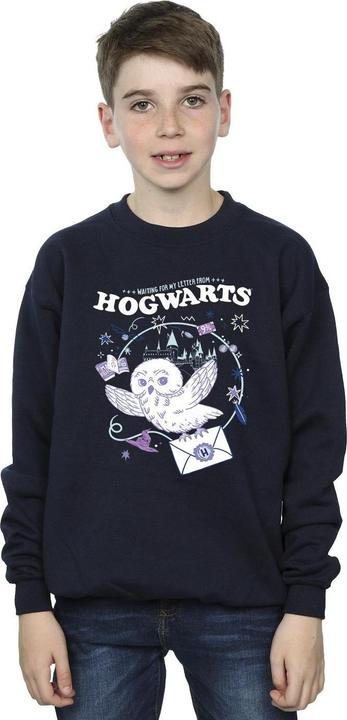 Actual product image Boys Owl Letter From Hogwarts Sweatshirt (152, 158)
