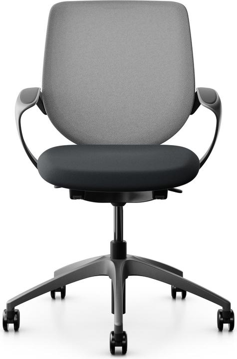 Actual product image Giroflex Netzrücken mit Armlehnen 313