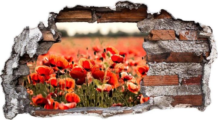 Produktbild Trenddeko 3D Poppy Field (32 x 60 cm)