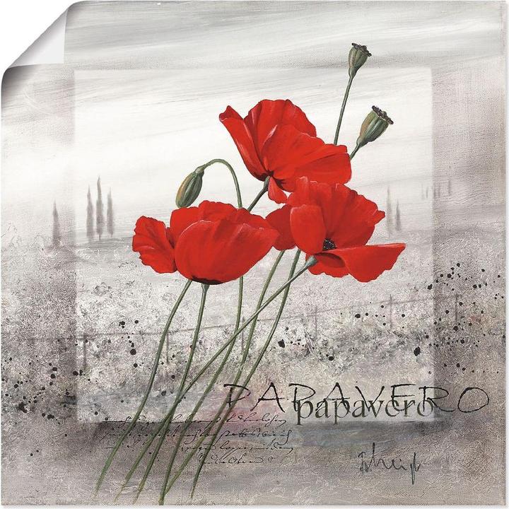 Produktbild Artland Mohnblumen an einem nebligen Morgen Q5JU (30x30 cm)