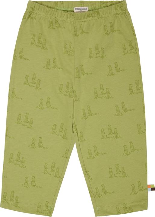 Alligator