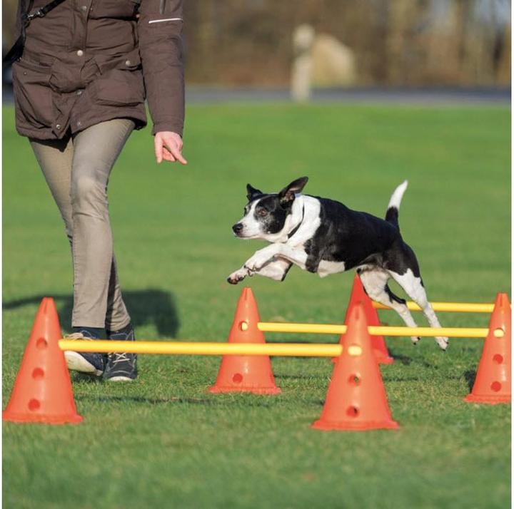 Image du produit Trixie Activité des chiens