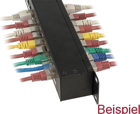 Image du produit Delock 19″ Coupling Patch Panel 24 Port Cat.6