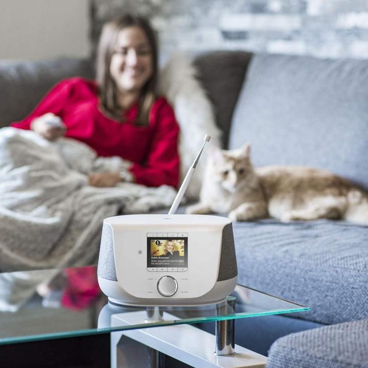 Image du produit Hama DIR3300SBT (Webradio, DAB+ DAB, Bluetooth, WiFi)