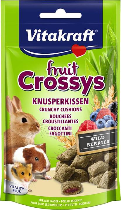 Immagine prodotto Vitakraft Croce di frutta per porcellini d'India 45g (0.05 kg, 1 x)
