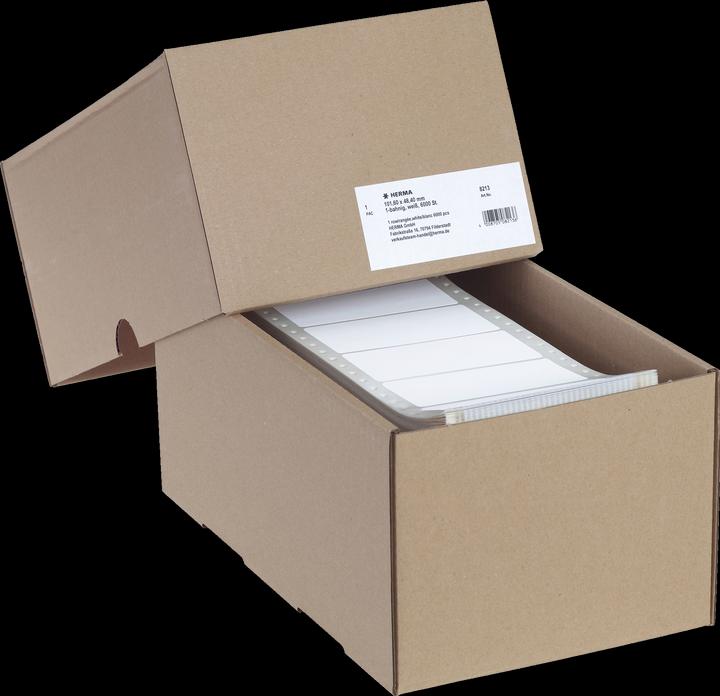 Actual product image HERMA Computer labels