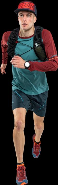 Actual product image Dynafit Alpine Pro Long Sleeve Tee (XXL)
