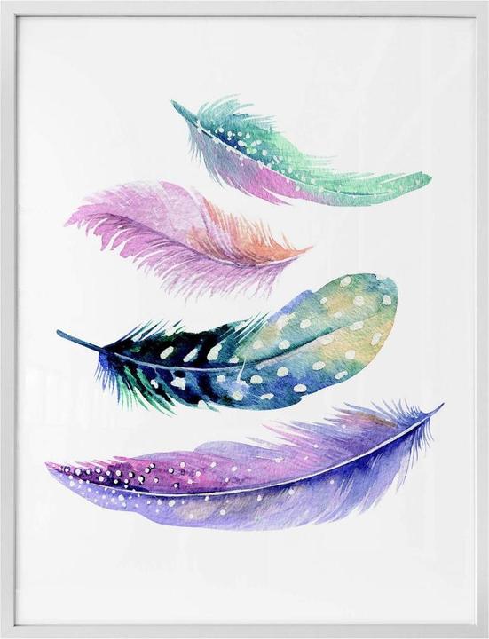 Produktbild Trenddeko Poster Federn 60 x 80 cm, Papier (11 x 12 x 63 cm)
