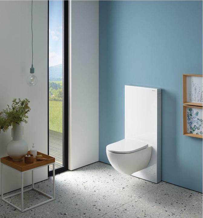 Actual product image Geberit Monolith PLUS sanitary module for wall-mounted toilet, 114cm, water connection center back