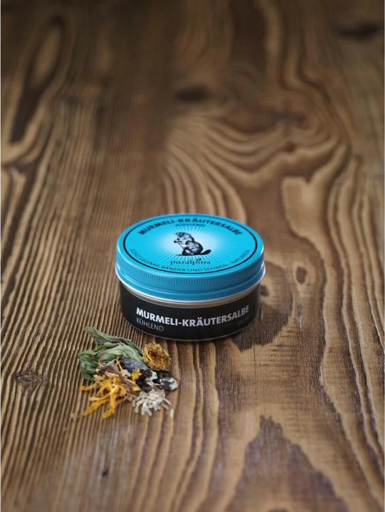 Produktbild Puralpina Murmeli-Kräutersalbe (1 x, 100 ml, 110 g)