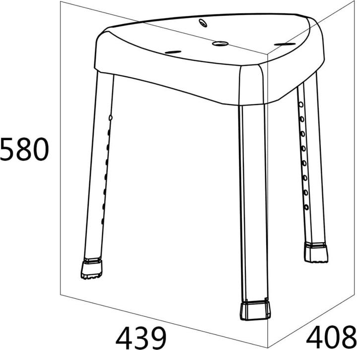 Immagine prodotto Tiger Bilancia (100 kg)