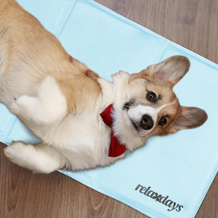 Immagine prodotto Relaxdays Tappeto di raffreddamento (Cane)