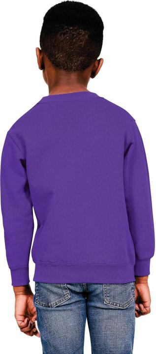 Actual product image Casual Classics Childrens/Kids Blended Ringspun Cotton Sweatshirt (104)