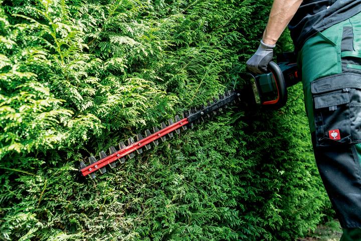 Produktbild Metabo HS 18 LTX BL 65 (Akkuheckenschere)