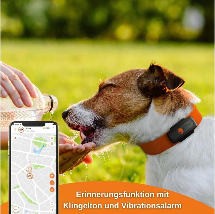 Actual product image Weenect GPS tracker (Dog)