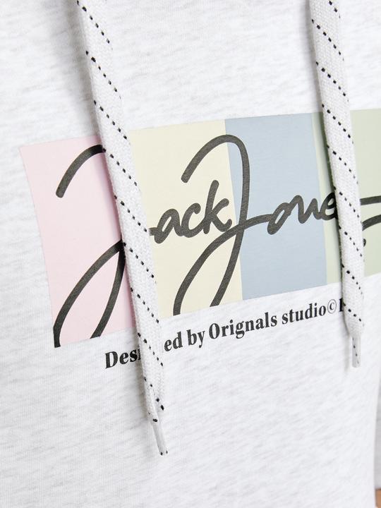 Produktbild Jack & Jones Jorportland Block Sweat Hood Ln (M)