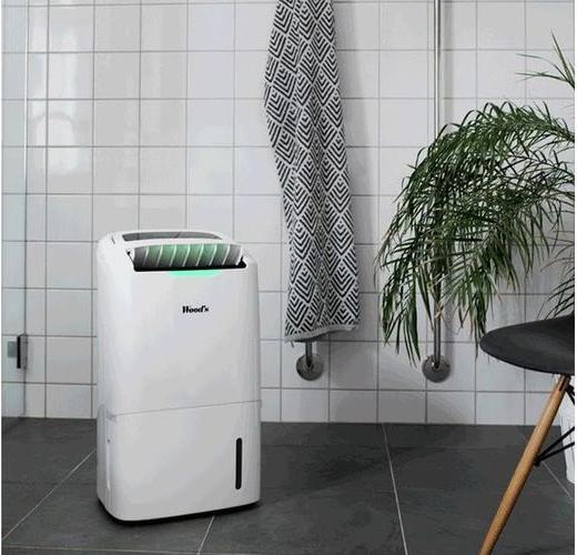Produktbild Wood's Ad20 (100 m², 22 l/24h)