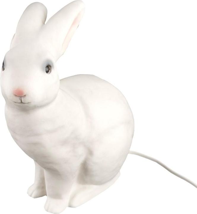 Image du produit Egmont Lapin