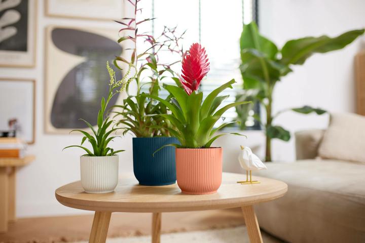 Image du produit Elho Pliage des vibrations (18.35 cm)