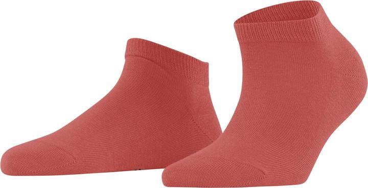 Falke Family Damen Sneakersocken (35 - 38)