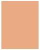 Immagine prodotto Max Factor Facenity Fondotinta Compatto Spf20 040 10G (040 Avorio cremoso)