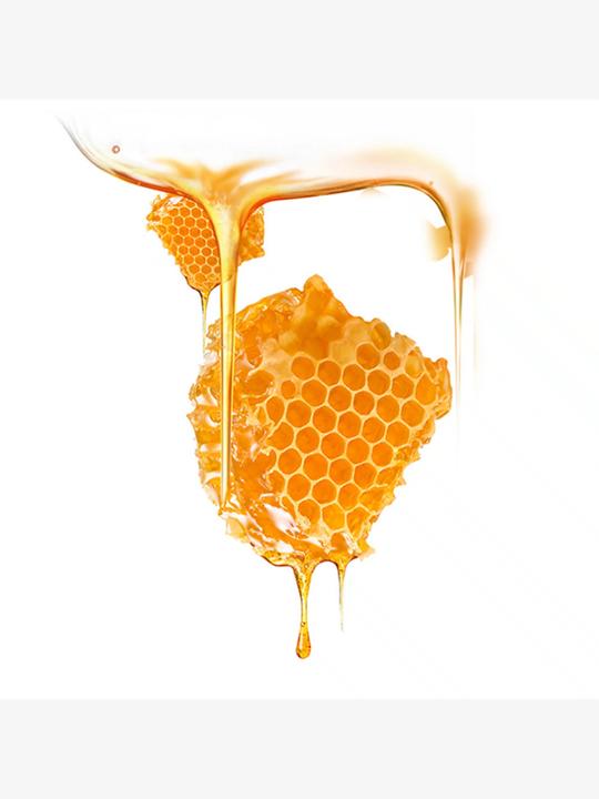 Actual product image Foreo Manuka Honey (36 ml)