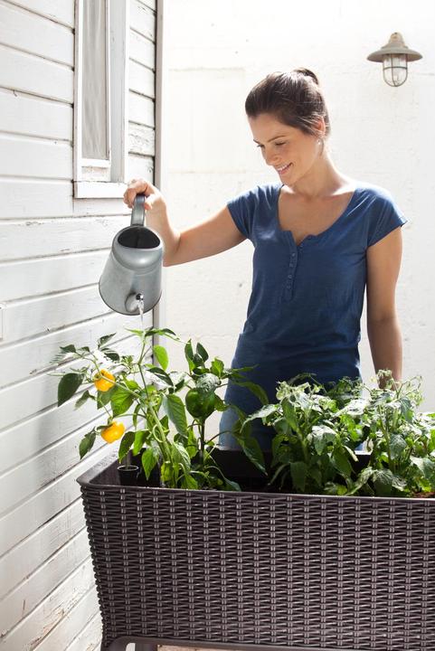 Immagine prodotto Keter Easy Growing