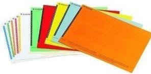 Dymo Labels for suspension files, assorted 10 sheets of 25 labels in a blister pack, front side white