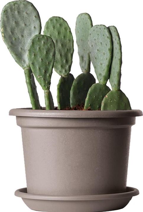 Produktbild Euro 3 plast Guya Blumentopf 25 cm rund aus recyceltem Kunststoff Farbe Taupe (grau-braun) (25 cm)