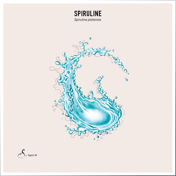 Produktbild Sekoya Spirulina & Vitamin D | 9% Phycocyanin (120 Stück, Tabletten)