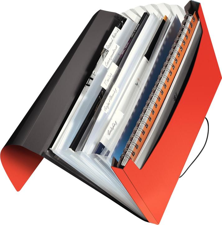 Actual product image Leitz Solid (A4, 1 x)