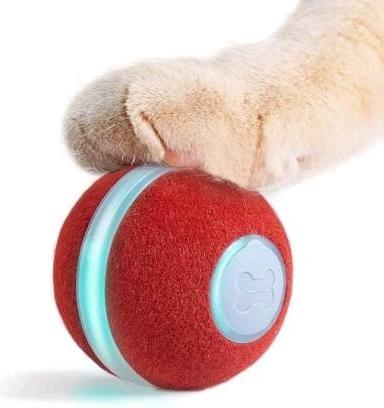 Actual product image Cheerble M1 (Cat activity toy)