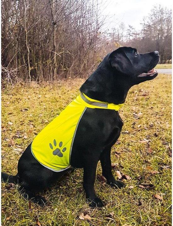 Image du produit Korntex Gilet de sécurité pour chiens (M)
