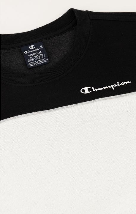 Actual product image Champion Crewneck - 53143 (M)