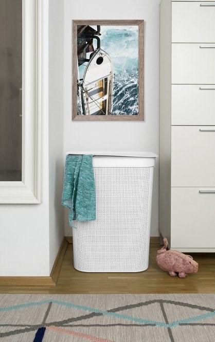 Image du produit Rotho Brises 1 (50 l)
