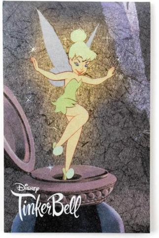Disney Kamiaya Oil Blotting Paper Classic Tinkerbell