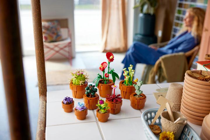 Immagine prodotto LEGO Mini piante (10329, LEGO Botanical, LEGO Icons)
