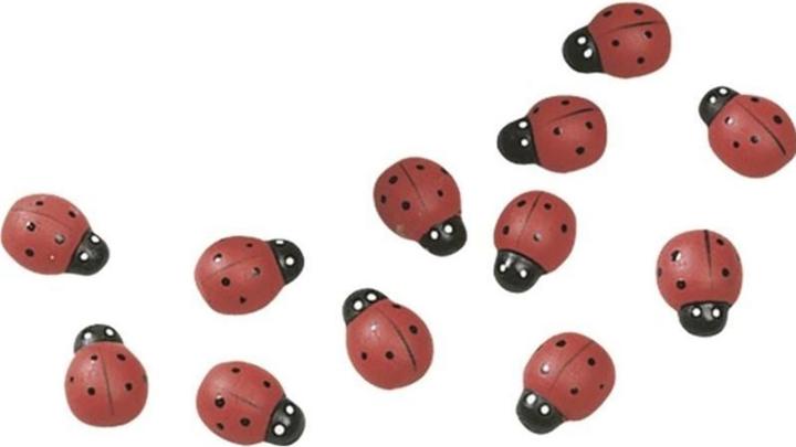 Immagine prodotto Knorr Prandell Coccinella