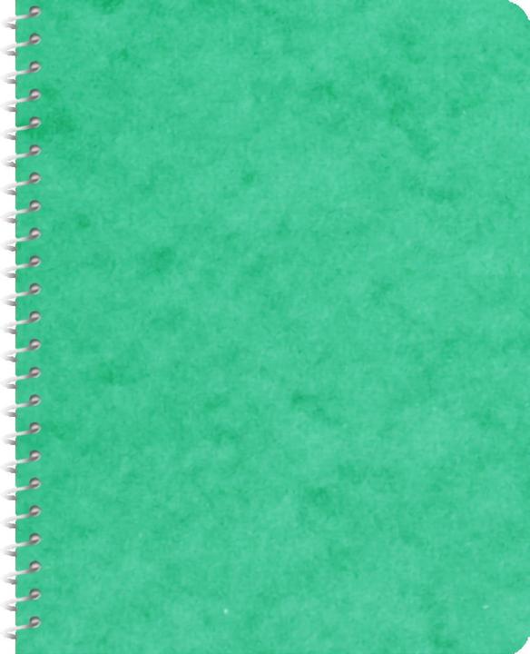 Produktbild Novooo Spiralheft assortiert (91 x 121 mm, Kariert)