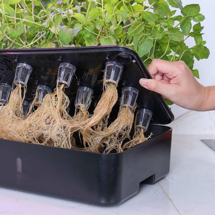 Image du produit Litrax LX202 - ROBIN jardin de salades