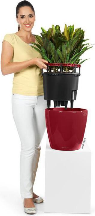 Produktbild Lechuza Classico (28.50 cm)