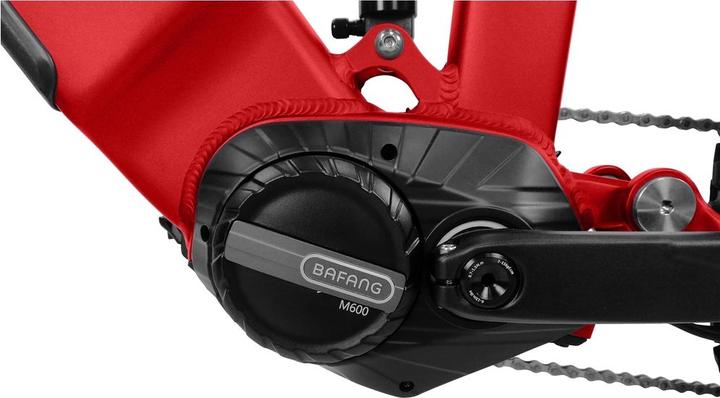 Actual product image XO2 Crossy rot