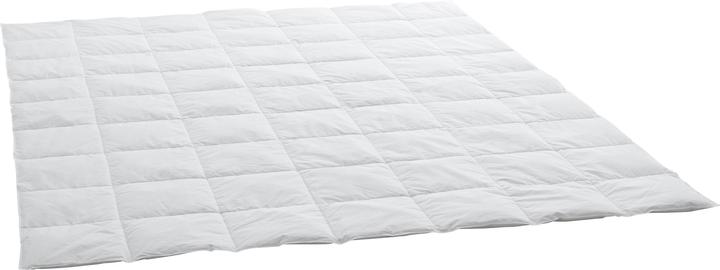 Produktbild Swiss Dream by billerbeck Clima Caro Classic 90 (860 g, 240 x 240 cm)