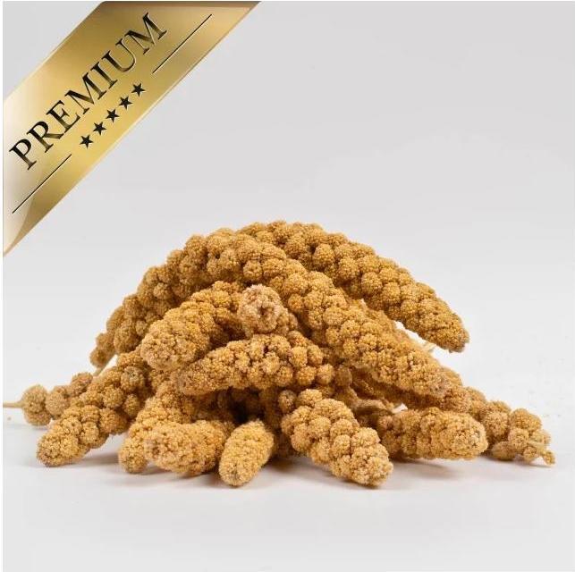 Actual product image Lyra Pet Foxtail millet (1 x, 1 kg)