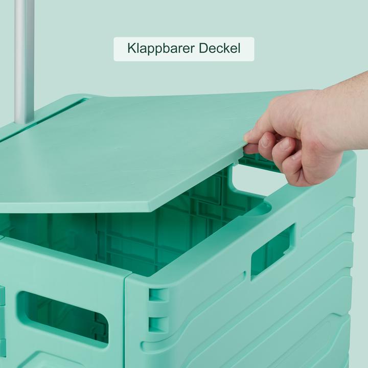 Immagine prodotto Relaxdays Carrello della-spesa