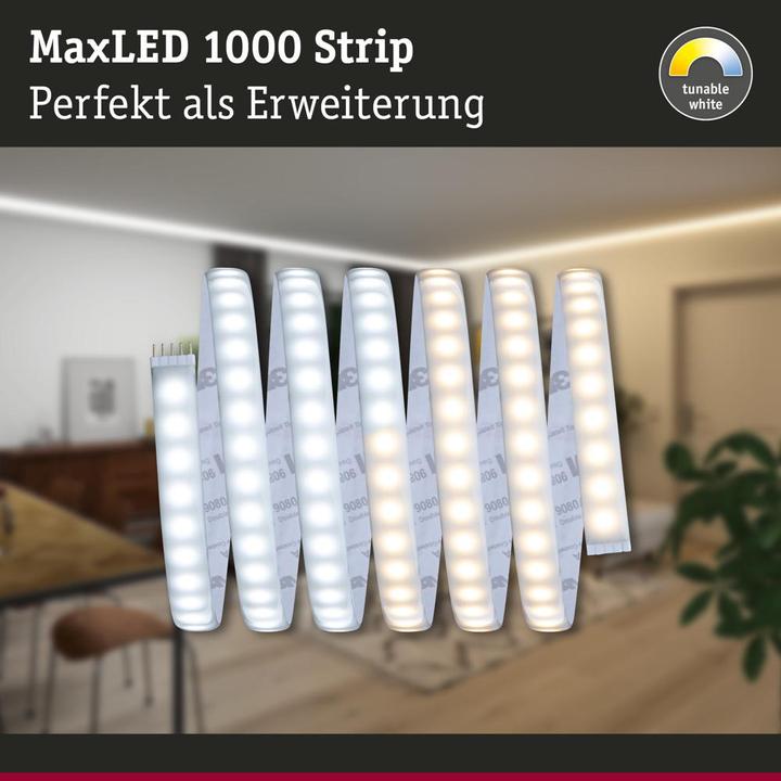 Produktbild Paulmann MaxLED (Weiss, 250 cm, Indoor)