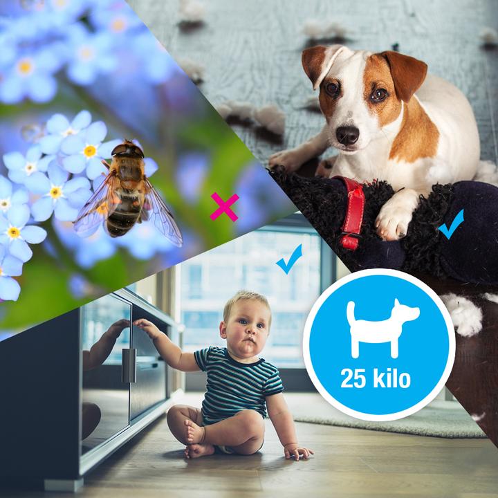 Image du produit EZVIZ C3A (1920 x 1080 Pixels)