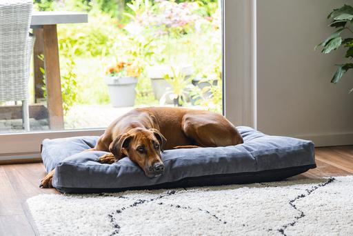 Actual product image Beeztees Bz Orthopedic Rest Cush Veo Dgrey 100x70 (Dog)