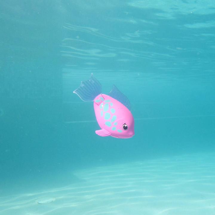 Actual product image Swimways Rainbow Reef Rainbow Fish