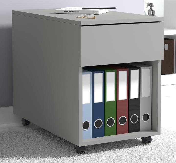 Immagine prodotto VCM my office Dalosa mobile piedistallo grigio 1 cassetto 39.0 x 70.0 x 55.0 cm (39 x 70 x 55 cm)